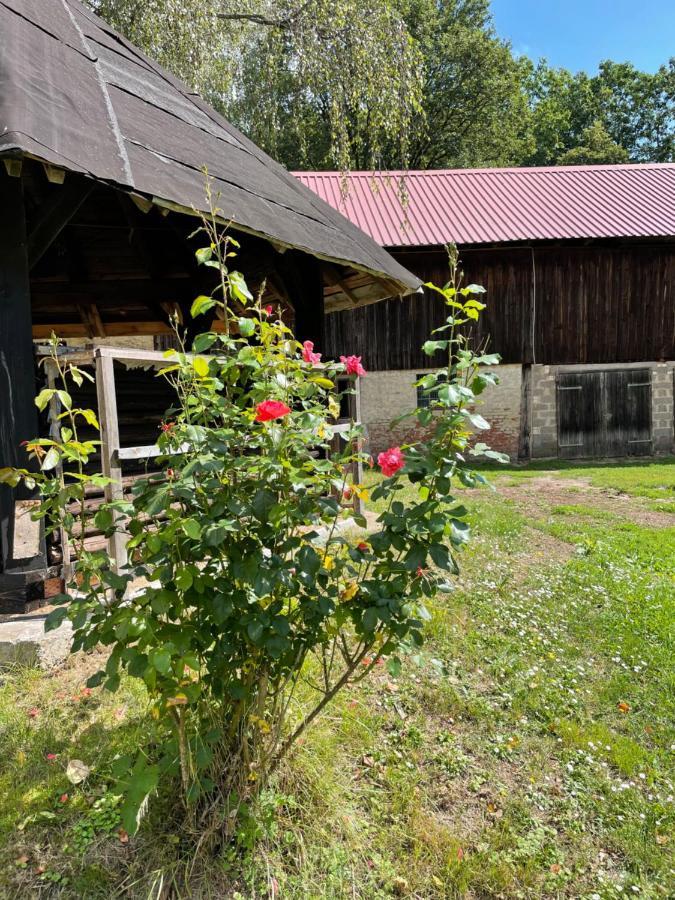 Schellnhof Forsthaus Am Waldrand Apartment Nidda Ngoại thất bức ảnh