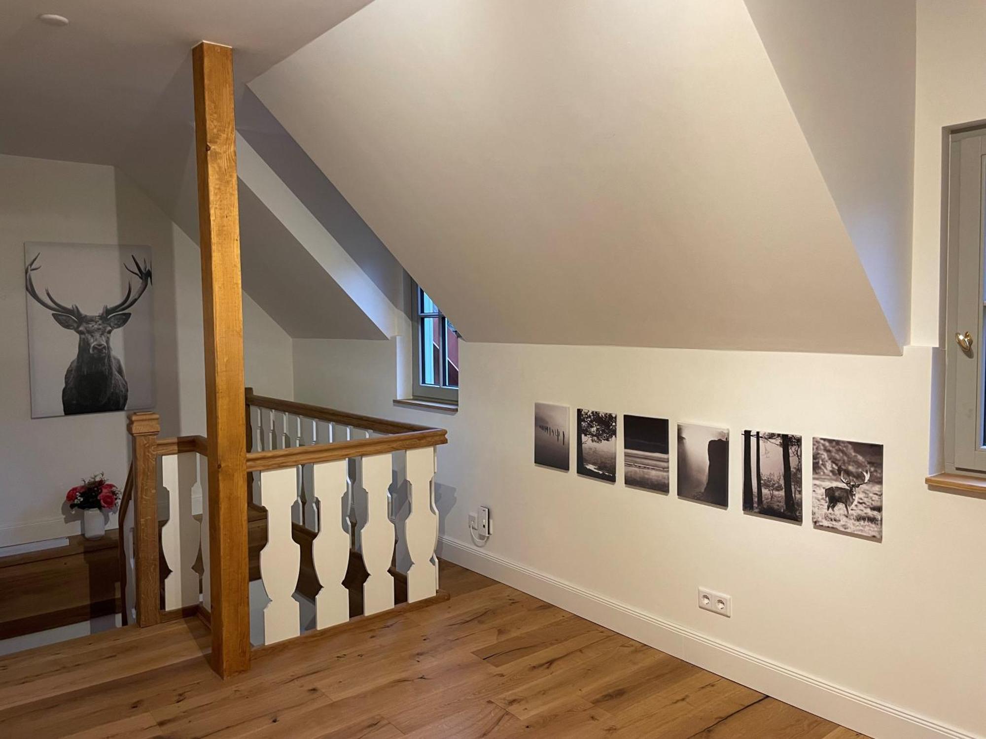 Schellnhof Forsthaus Am Waldrand Apartment Nidda Ngoại thất bức ảnh